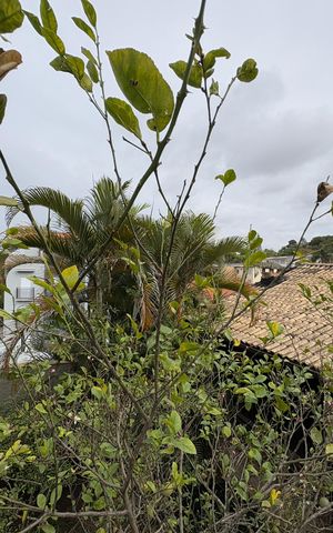 Casa para alugar com 400m², 4 quartos e 3 vagasVista do Sótão