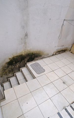 Apartamento à venda com 156m², 3 quartos e 4 vagasQuintal