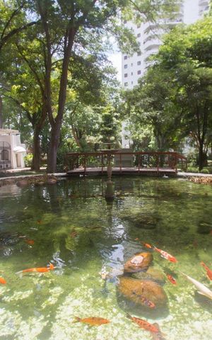 Apartamento à venda com 265m², 4 quartos e 2 vagas Apartamento à venda com 265m², 4 quartos e 2 vagasÁrea Verde