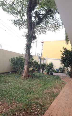 Casa à venda com 232m², 3 quartos e 4 vagasJardim