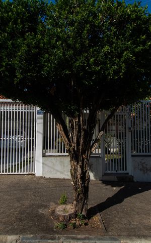 Casa à venda com 315m², 4 quartos e 4 vagas Casa à venda com 315m², 4 quartos e 4 vagasFachada