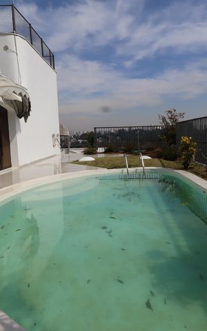 Apartamento à venda com 476m², 4 quartos e 5 vagasPiscina