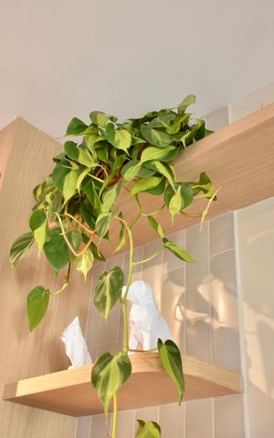 Studio à venda com 27m², 0 quarto e sem vaga Studio à venda com 27m², 0 quarto e sem vagaStudio