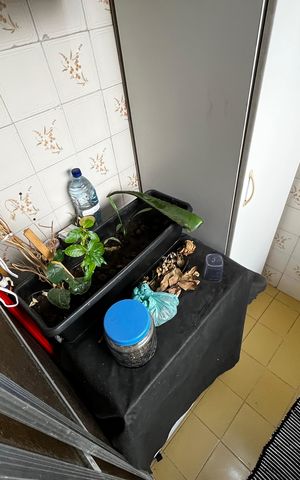 Apartamento à venda com 52m², 2 quartos e 1 vagaÁrea de Serviço