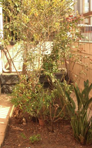 Casa à venda com 220m², 4 quartos e 3 vagasQuintal