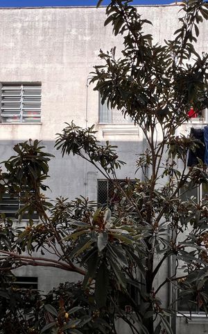 Apartamento à venda com 60m², 2 quartos e 1 vaga Apartamento à venda com 60m², 2 quartos e 1 vagaÁrea de Serviço - Vista