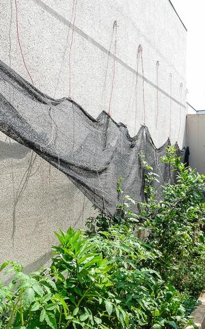 Casa à venda com 442m², 3 quartos e 6 vagasQuintal