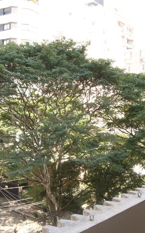 Apartamento à venda com 236m², 3 quartos e 3 vagasVaranda