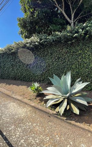 Casa para alugar com 890m², 2 quartos e NaN vagas Casa para alugar com 890m², 2 quartos e NaN vagasVista da Rua