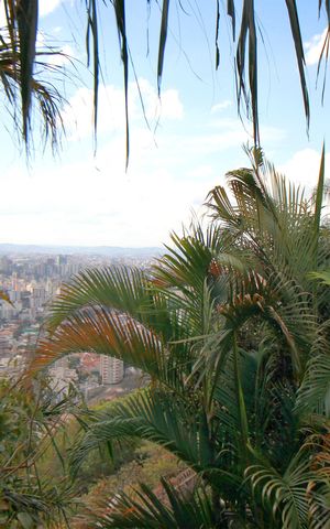 Casa à venda com 360m², 3 quartos e 3 vagasVista da Varanda
