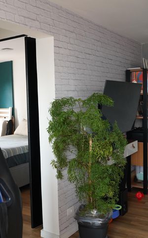 Apartamento à venda com 61m², 2 quartos e 1 vagaSala