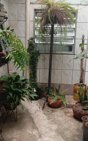 Casa para alugar com 1200m², 3 quartos e 4 vagas Casa para alugar com 1200m², 3 quartos e 4 vagasQuintal inferior