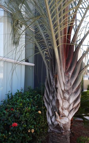 Casa de condomínio para alugar com 330m², 4 quartos e 4 vagasFachada