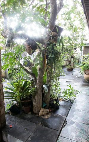 Casa de condomínio à venda com 380m², 3 quartos e 3 vagasQuintal
