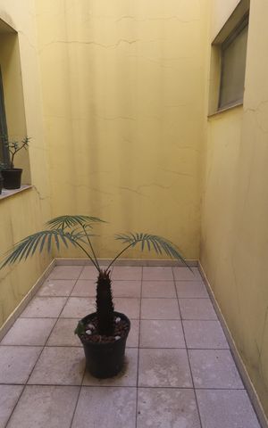 Casa à venda com 450m², 7 quartos e 3 vagasÁrea Externa