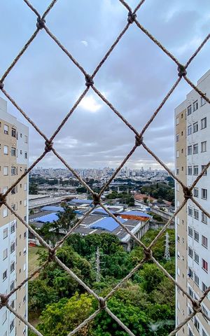 Apartamento para alugar com 48m², 2 quartos e 1 vagaVista do Quarto 1