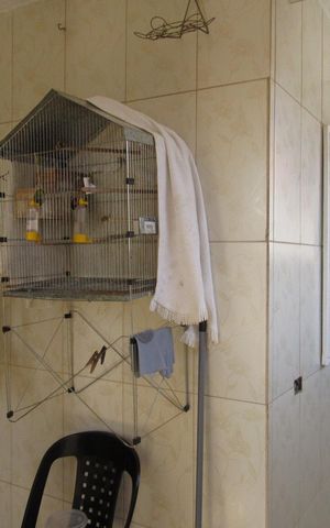 Casa à venda com 170m², 2 quartos e 1 vagaÁrea externa
