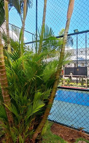 Apartamento para alugar com 63m², 3 quartos e 1 vaga Apartamento para alugar com 63m², 3 quartos e 1 vagaQuadra