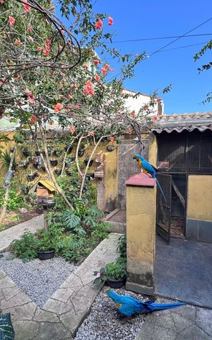 Casa de condomínio à venda com 150m², 2 quartos e 2 vagas Casa de condomínio à venda com 150m², 2 quartos e 2 vagasÁrea externa