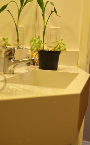 Apartamento para alugar com 64m², 2 quartos e 1 vagaLavabo 