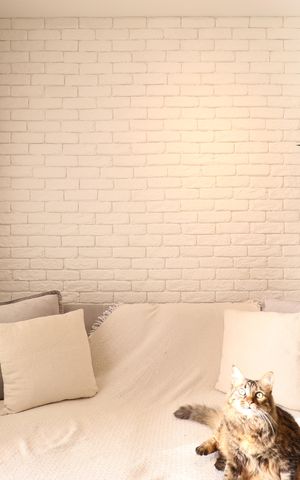 Apartamento à venda com 32m², 1 quarto e sem vagaDetalhe