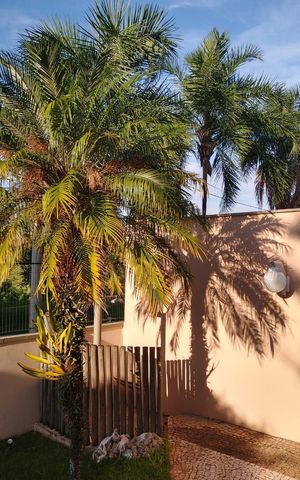 Casa de condomínio à venda com 290m², 4 quartos e 6 vagas Casa de condomínio à venda com 290m², 4 quartos e 6 vagasÁrea Externa