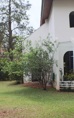 Casa à venda com 700m², 4 quartos e 4 vagasQuintal