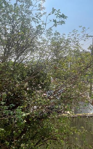 Casa à venda com 170m², 3 quartos e 3 vagas Casa à venda com 170m², 3 quartos e 3 vagasVista da Suíte