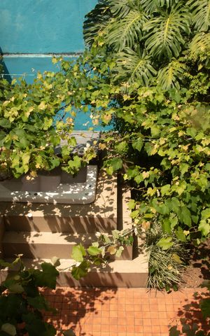 Casa à venda com 200m², 3 quartos e 3 vagasVista da Suíte 1