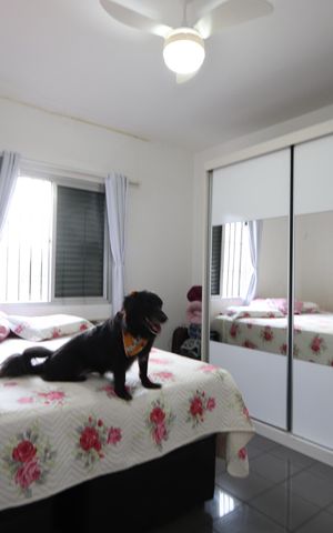 Casa à venda com 240m², 3 quartos e 4 vagasSuíte 1
