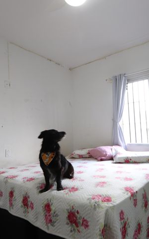 Casa à venda com 240m², 3 quartos e 4 vagasSuíte 1