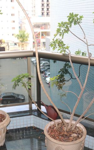 Apartamento à venda com 128m², 3 quartos e 3 vagasSacada da Sala