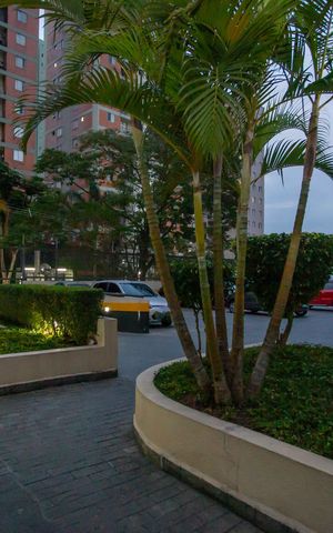 Apartamento à venda com 48m², 2 quartos e 1 vagaÁrea comum