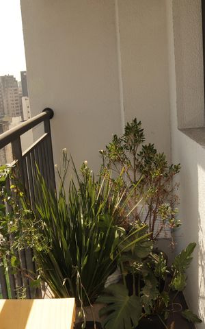 Studio para alugar com 26m², 1 quarto e sem vagaSacada