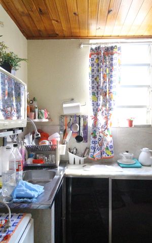 Apartamento para alugar com 50m², 2 quartos e sem vagaCozinha