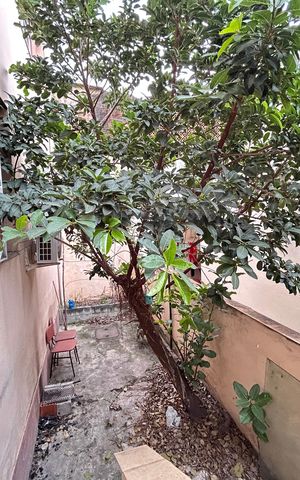 Casa à venda com 66m², 2 quartos e sem vagaQuintal