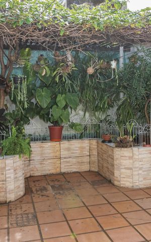Casa para alugar com 150m², 2 quartos e 1 vaga Casa para alugar com 150m², 2 quartos e 1 vagaQuintal