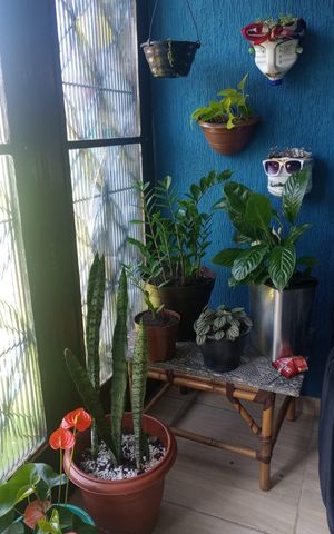Casa à venda com 230m², 4 quartos e 1 vaga