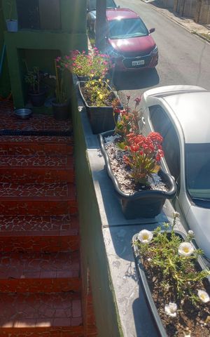 Casa à venda com 230m², 4 quartos e 1 vaga
