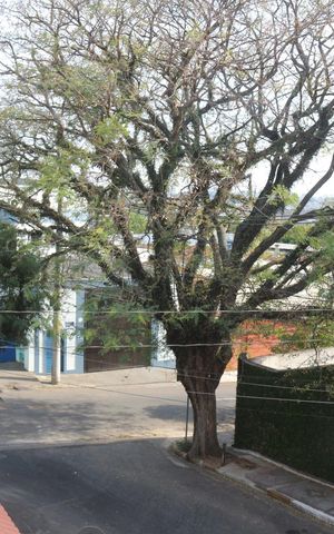 Casa à venda com 296m², 3 quartos e 6 vagasSacada
