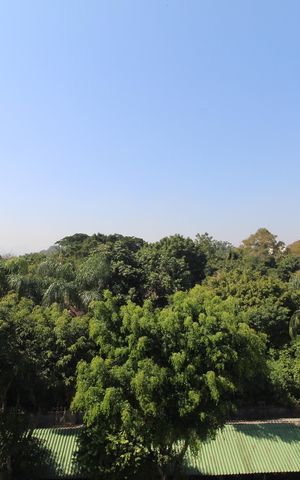 Apartamento para alugar com 60m², 2 quartos e 1 vagaQuarto 1 - Vista