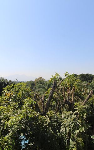 Apartamento para alugar com 60m², 2 quartos e 1 vagaÁrea de serviço - Vista
