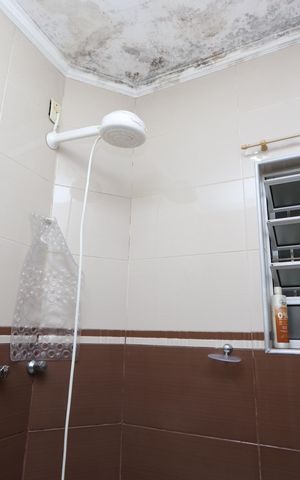 Casa para alugar com 240m², 3 quartos e 2 vagasBanheiro Social