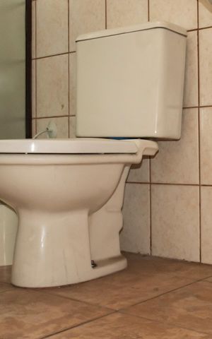 Apartamento à venda com 399m², 4 quartos e 7 vagasEdícula - Banheiro 2