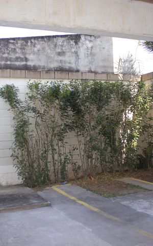 Apartamento para alugar com 44m², 1 quarto e 1 vagaÁrea comum - Garagem