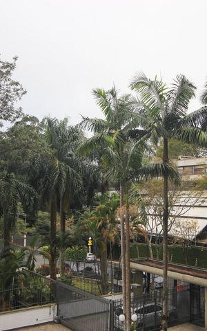Apartamento à venda com 425m², 4 quartos e 4 vagasVista da Suíte 4