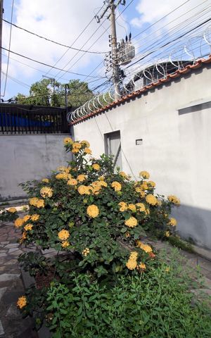 Casa à venda com 155m², 4 quartos e 5 vagasQuintal - Frente
