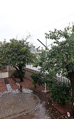 Casa à venda com 110m², 3 quartos e 2 vagasVista do Quarto 1 suíte