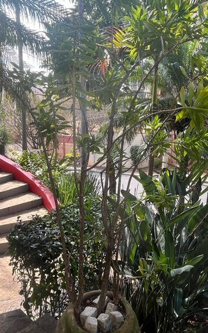 Studio para alugar com 40m², 1 quarto e sem vaga Studio para alugar com 40m², 1 quarto e sem vagaÁrea comum