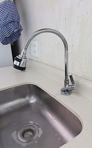 Apartamento à venda com 42m², 2 quartos e 1 vagaCozinha - Torneira